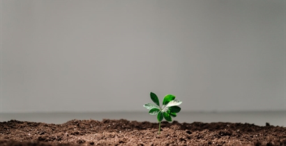 Sustainability at the Core: 4 Tips to Amplify the E in ESG